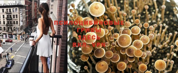 марихуана Куйбышев