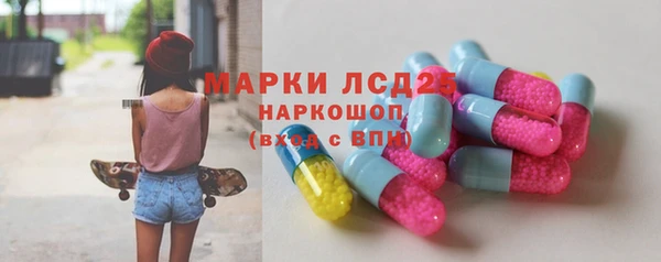 гашик Кулебаки