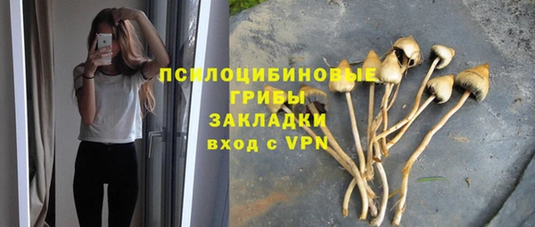 прущая мука Кукмор